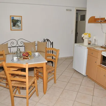 Handakas Apartment Mesaria (Andros)